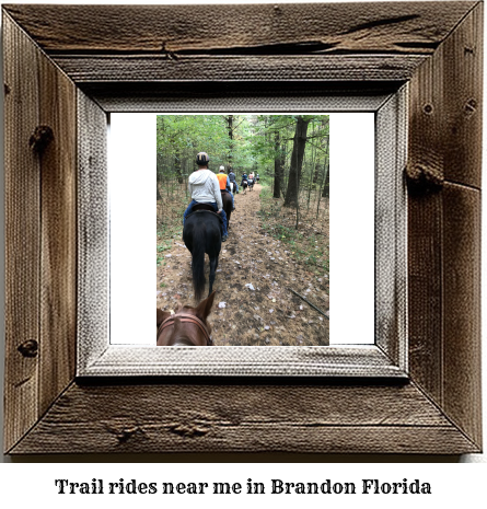 trail rides near me in Brandon, Florida